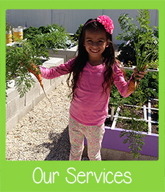 Our Services SWFL Garden Tours