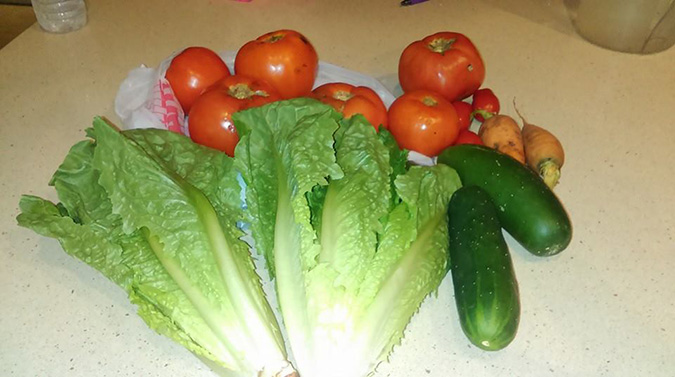 Adrienne Potter Harvest Market Days Fort Myers