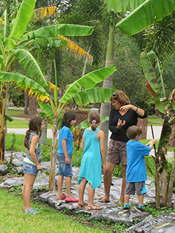 Fort Myers Backyard Garden Tours