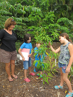 Fort Myers Garden Tours