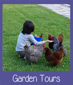Garden Tours Fort Myers FL