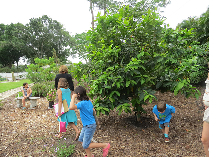 Miss Potters Place Garden Tours Fort Myers 2