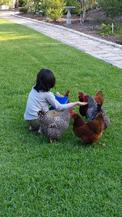 Fort Myers Urban Micro Farm