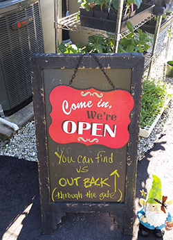 SWFL Urban Micro Farm